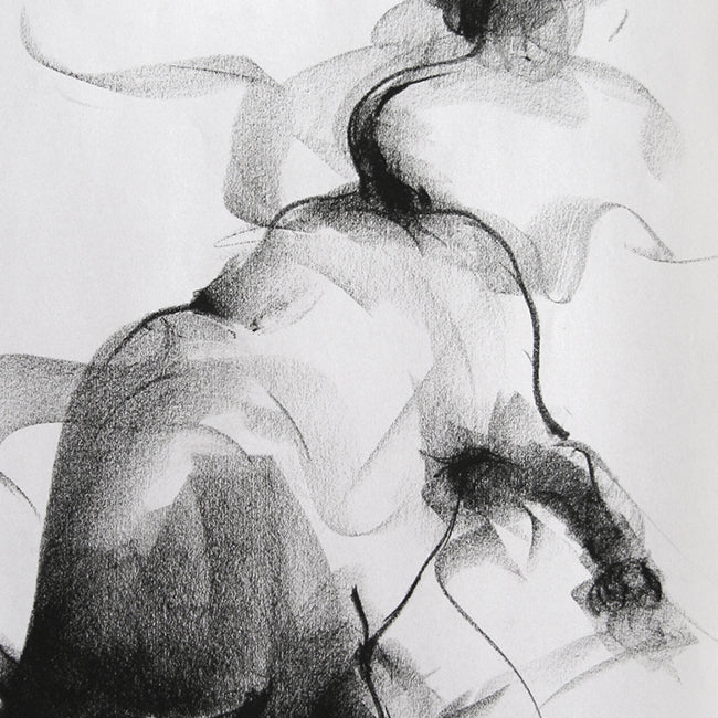 Bull Drawing-046