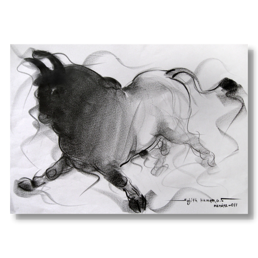 Bull Drawing-049