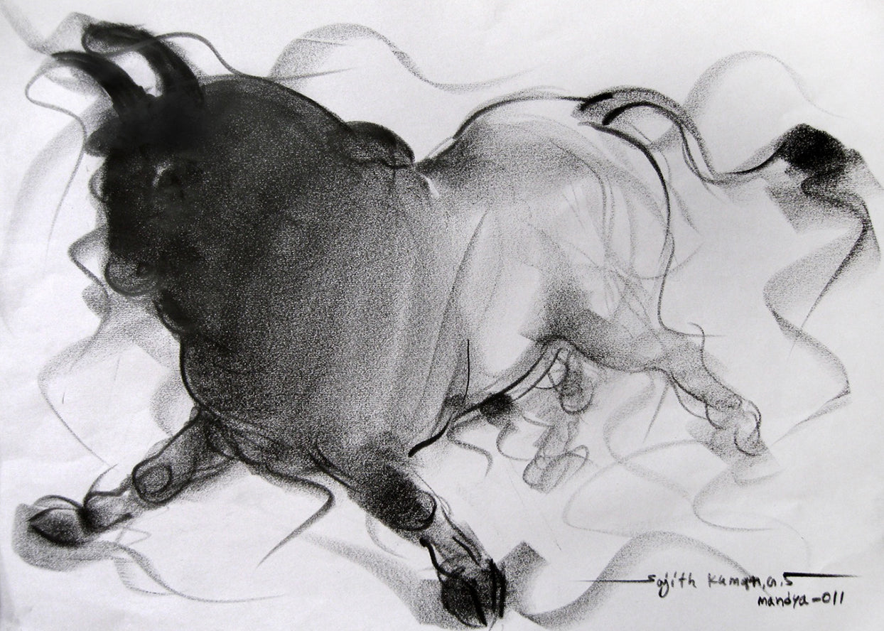 Bull Drawing-049