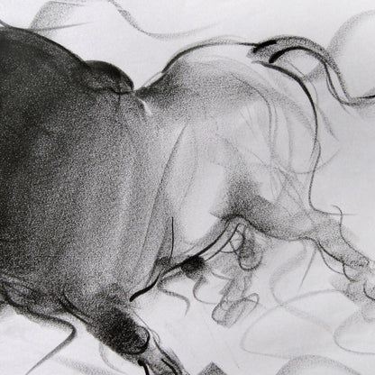Bull Drawing-049