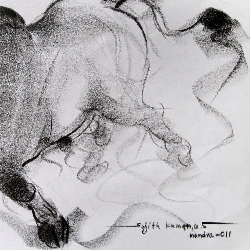 Bull Drawing-049