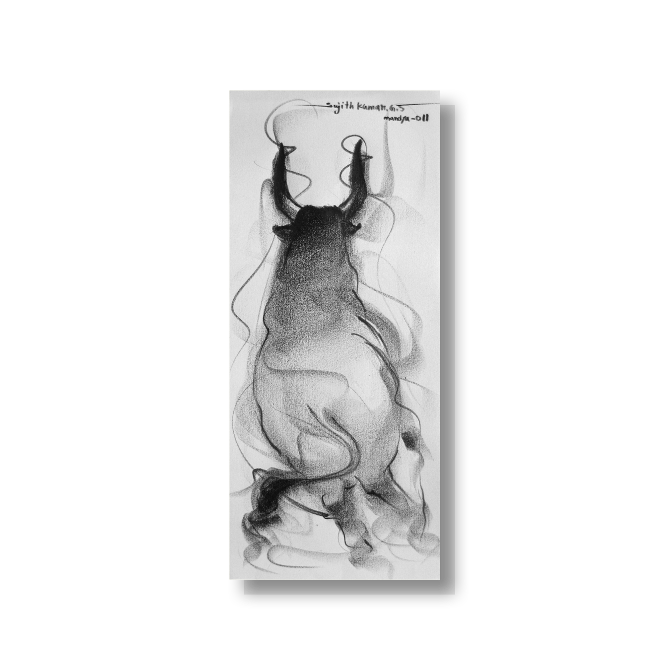 Bull Drawing-050