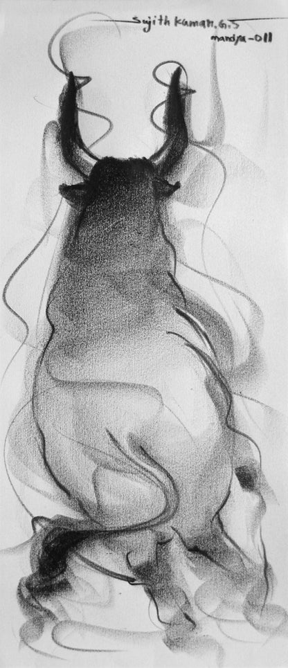 Bull Drawing-050