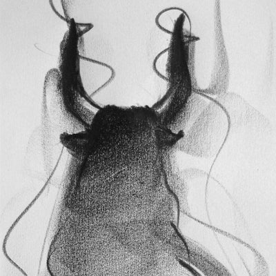 Bull Drawing-050