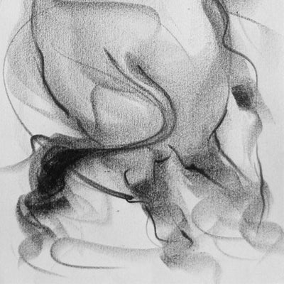 Bull Drawing-050