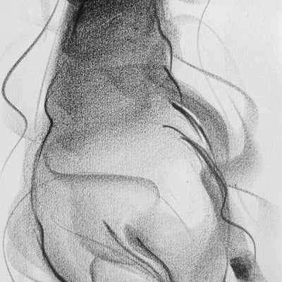 Bull Drawing-050