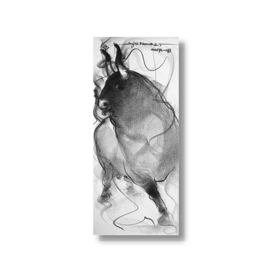 Bull Drawing-051