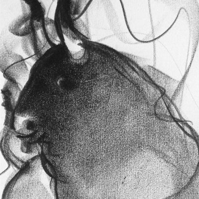 Bull Drawing-051
