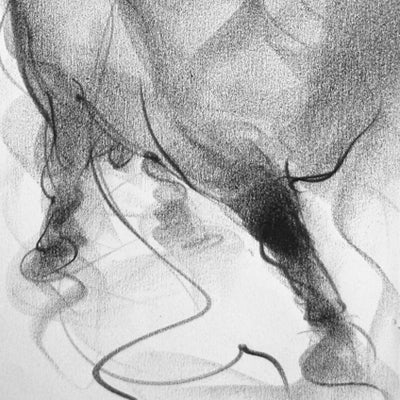 Bull Drawing-051