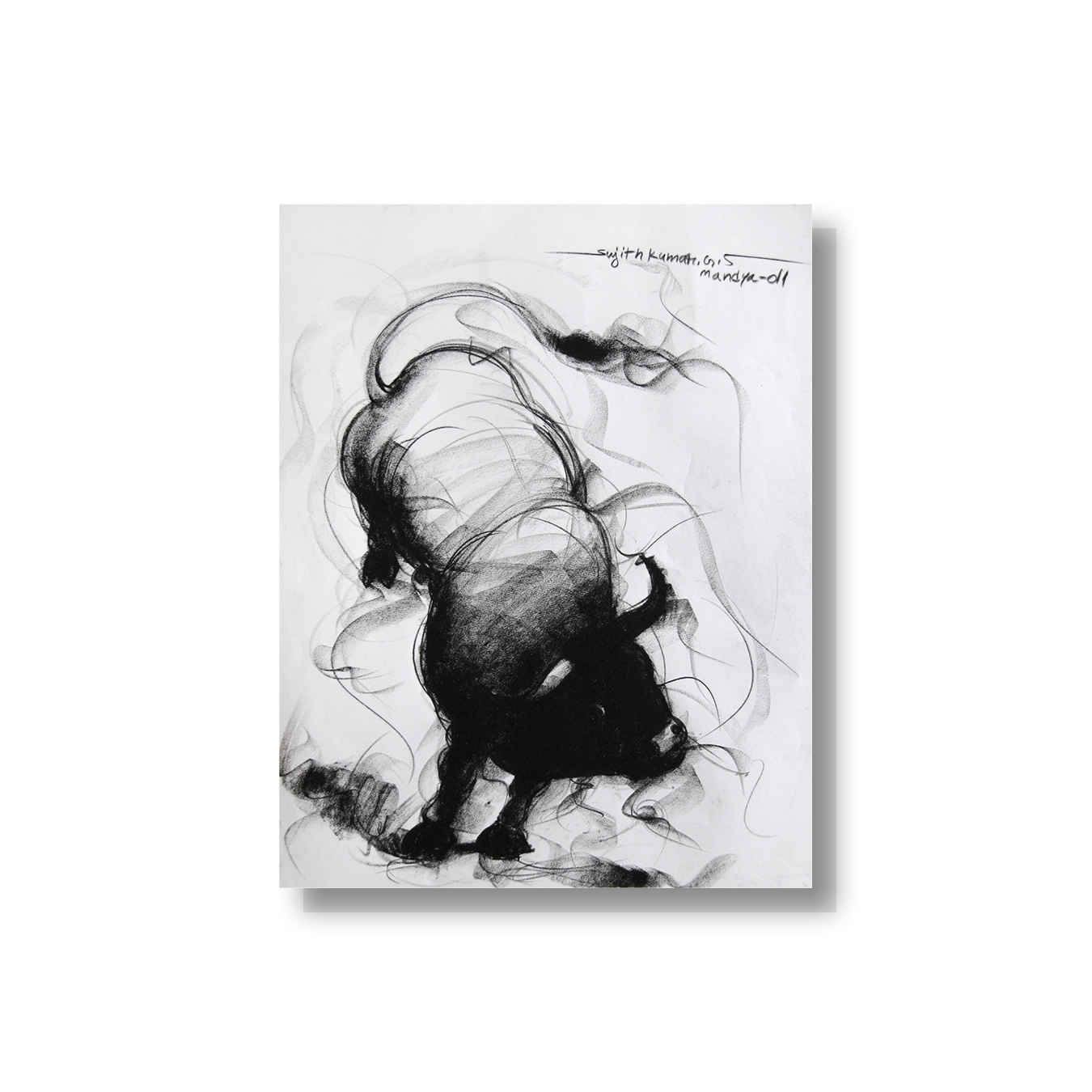 Bull Drawing-056 - SUJITH KUMAR GS MANDYA Art Studio Gallery (SKGSM Art Studio Gallery)