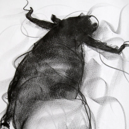 Bull Drawing-062 - SUJITH KUMAR GS MANDYA Art Studio Gallery (SKGSM Art Studio Gallery)