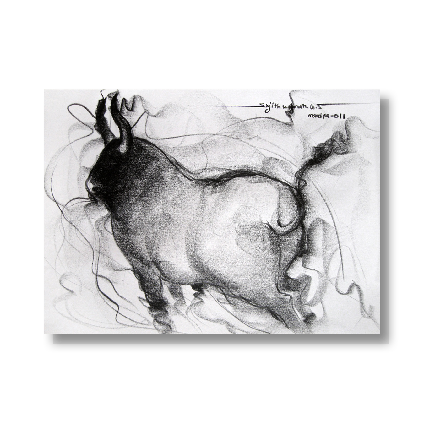 Bull Drawing-063