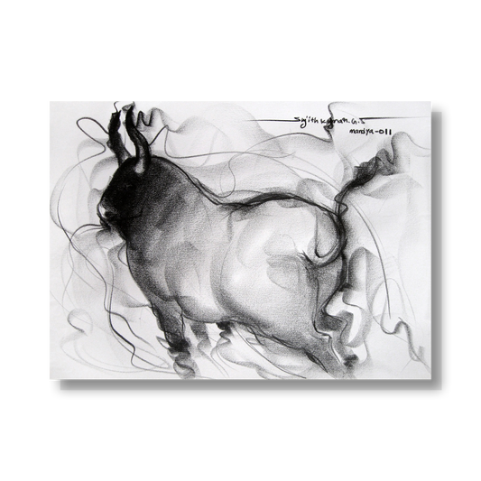 Bull Drawing-063
