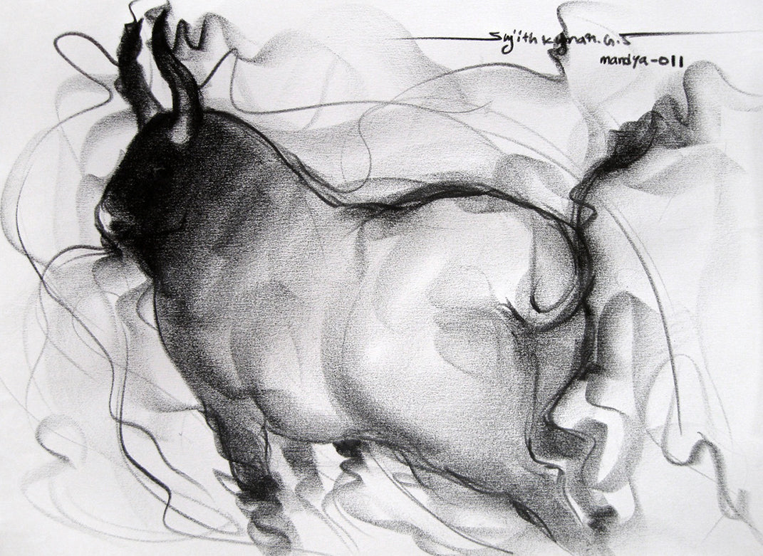 Bull Drawing-063