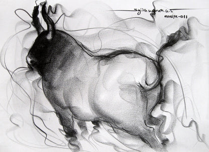 Bull Drawing-063