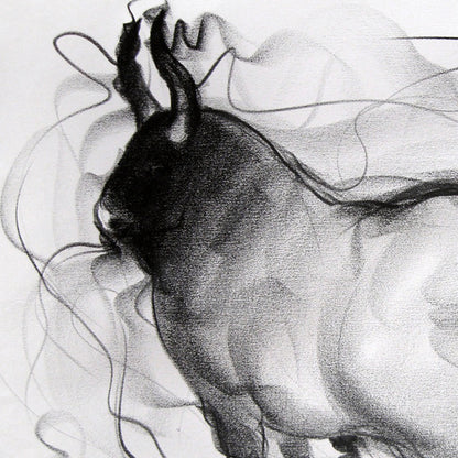 Bull Drawing-063
