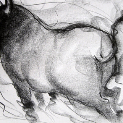 Bull Drawing-063