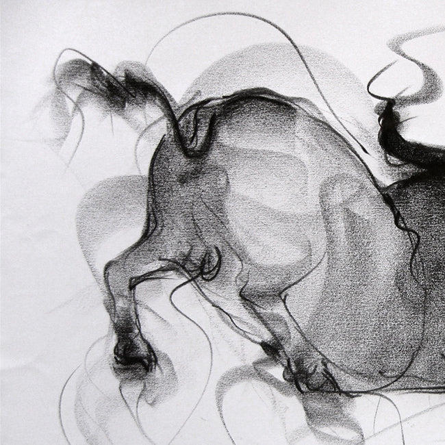 Bull Drawing-080