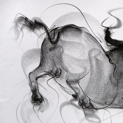 Bull Drawing-080