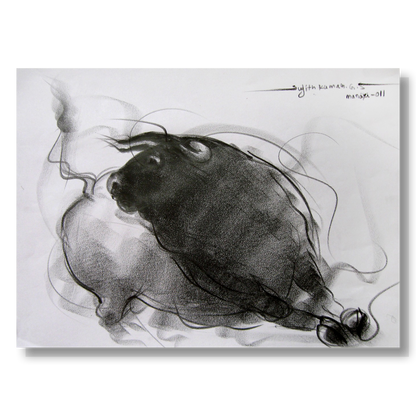 Bull Drawing-081