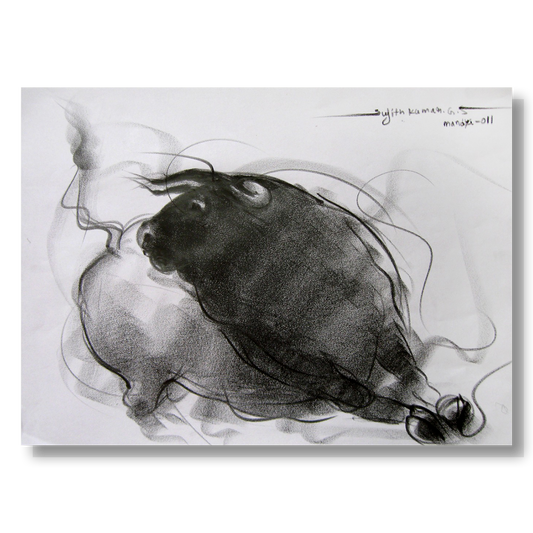 Bull Drawing-081
