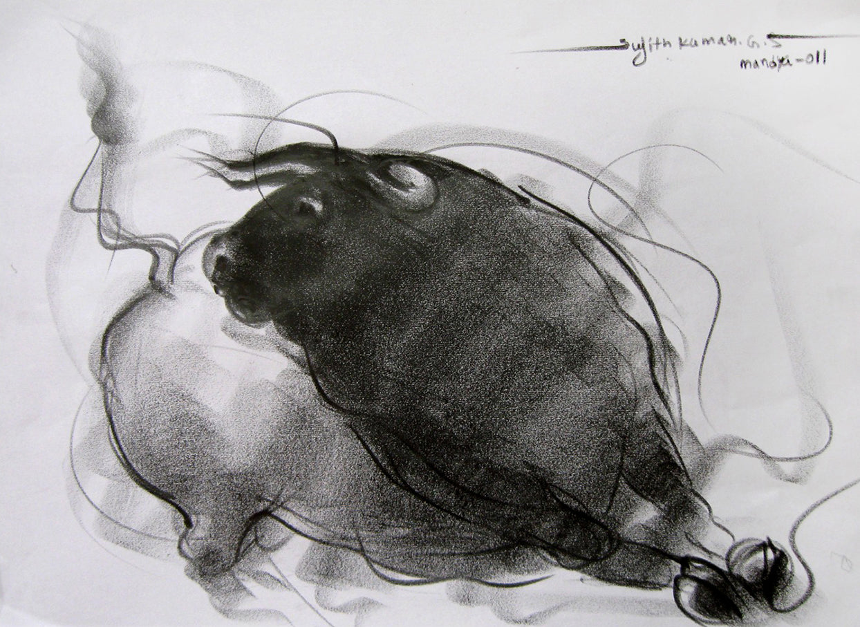 Bull Drawing-081