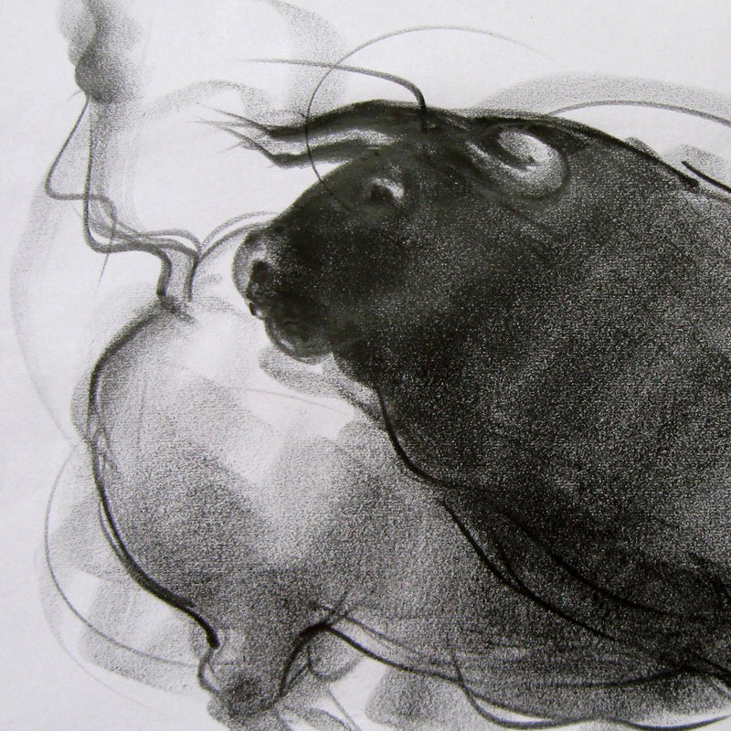 Bull Drawing-081