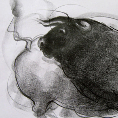 Bull Drawing-081