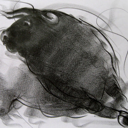 Bull Drawing-081