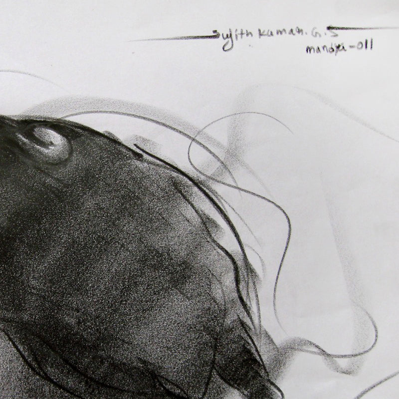 Bull Drawing-081