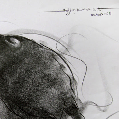 Bull Drawing-081