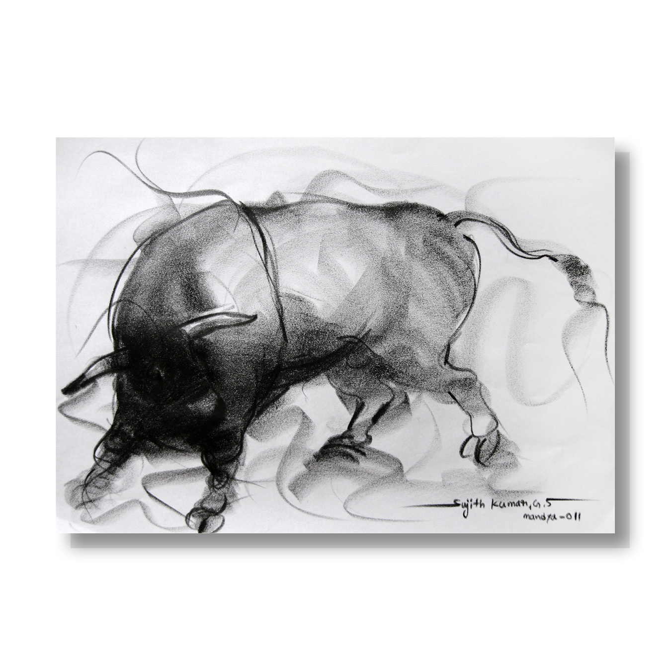 Bull Drawing-082
