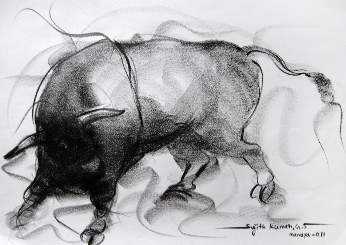 Bull Drawing-082