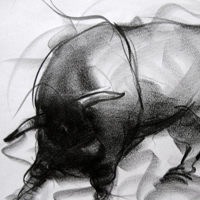 Bull Drawing-082