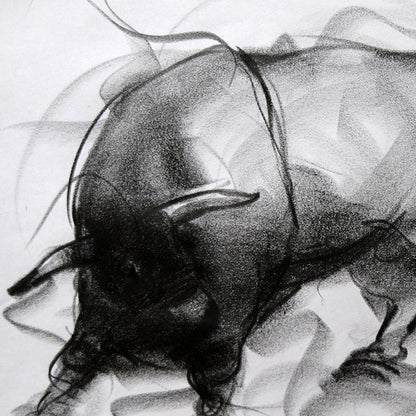 Bull Drawing-082