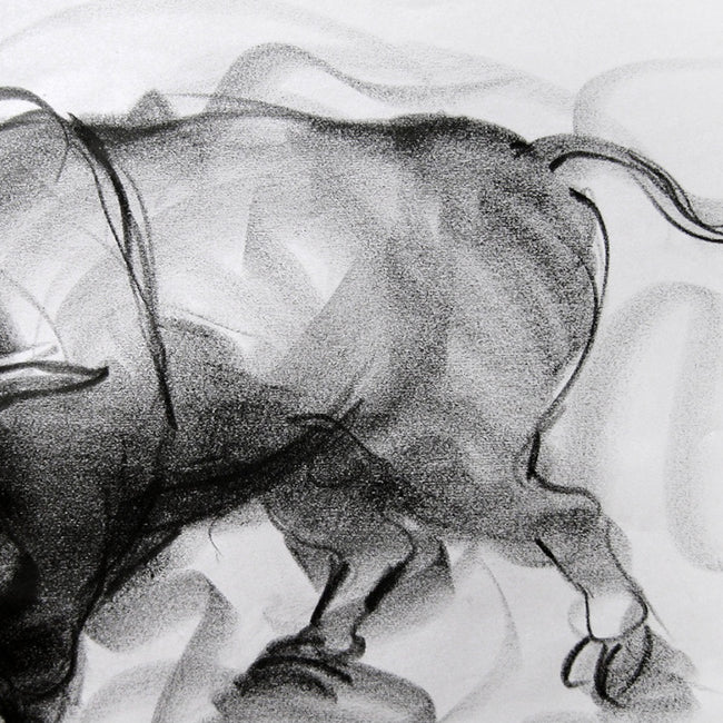 Bull Drawing-082