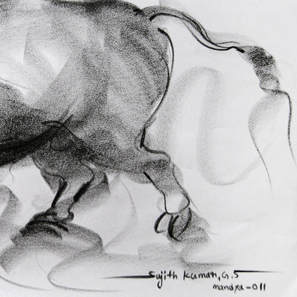 Bull Drawing-082