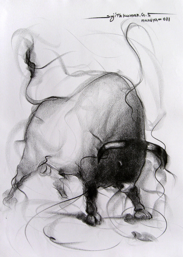 Bull Drawing-089
