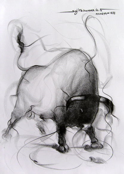 Bull Drawing-089