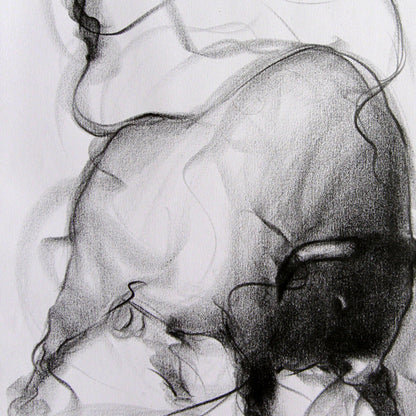 Bull Drawing-089