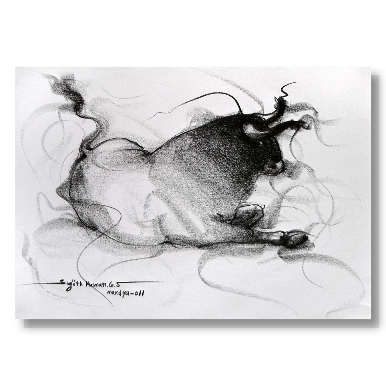 Bull Drawing-092
