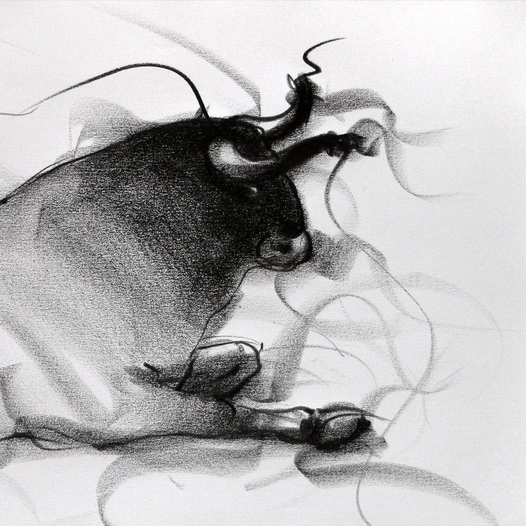 Bull Drawing-092