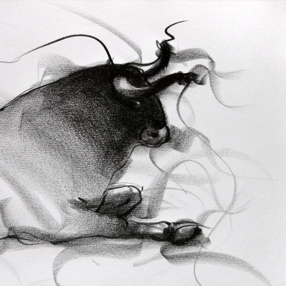 Bull Drawing-092