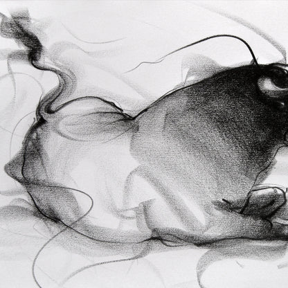 Bull Drawing-092