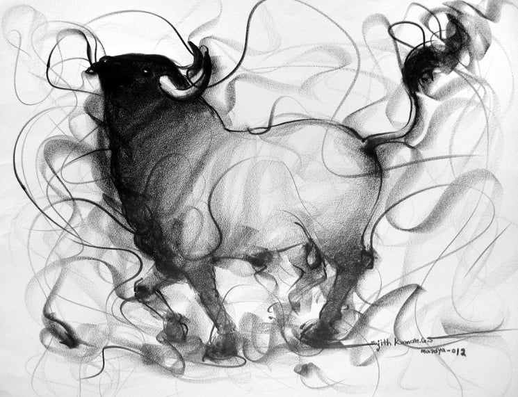 Bull Drawing-106