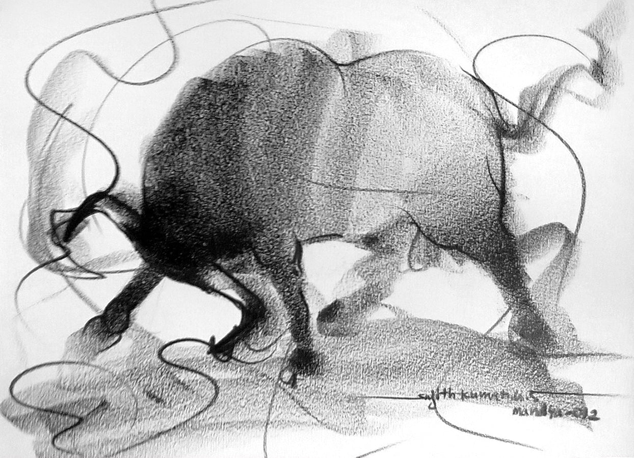 Bull Drawing-118