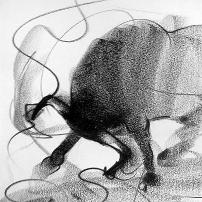Bull Drawing-118