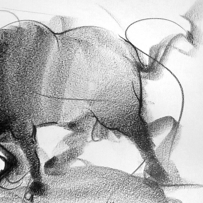 Bull Drawing-118
