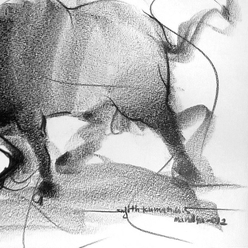Bull Drawing-118