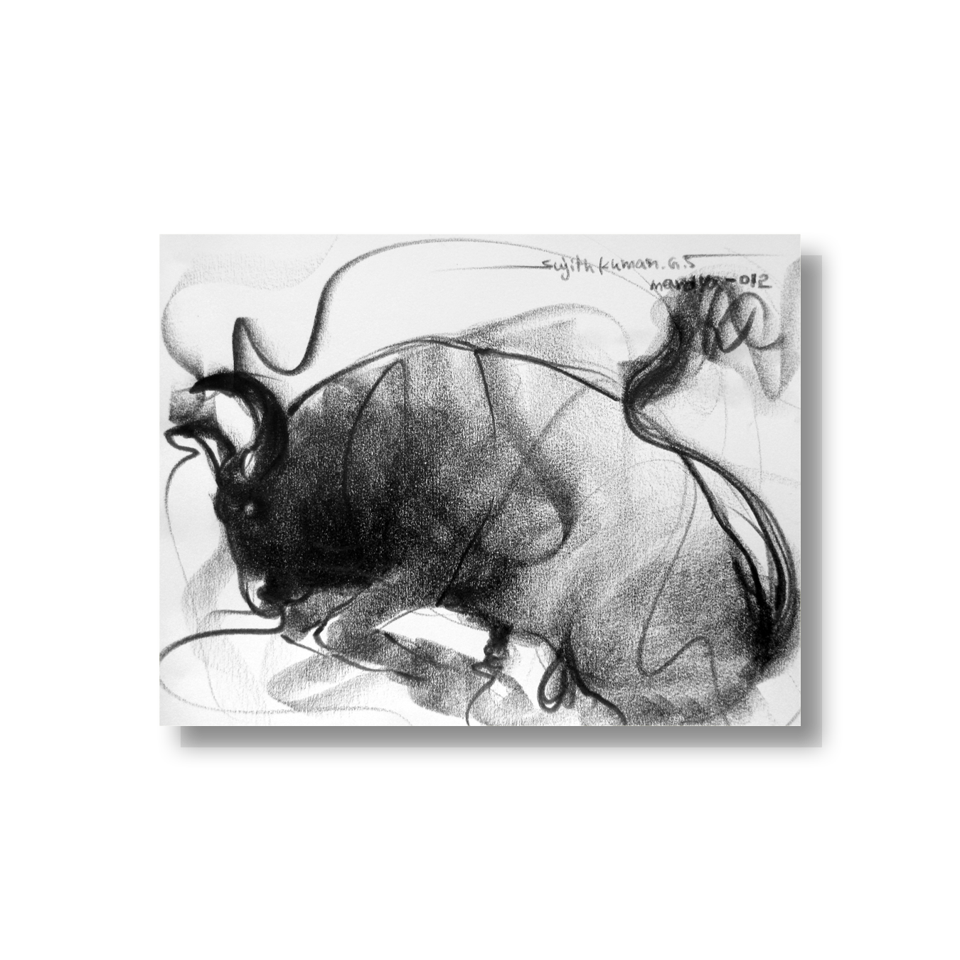 Bull Drawing-119a